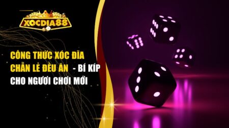 Công Thức Xóc Đĩa Chẵn Lẻ Đều Ăn – Bí Kíp Cho Người Chơi Mới